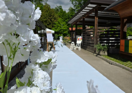 Posestvo pri Čebelici