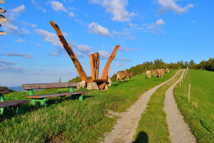 turistična kmetija Široko