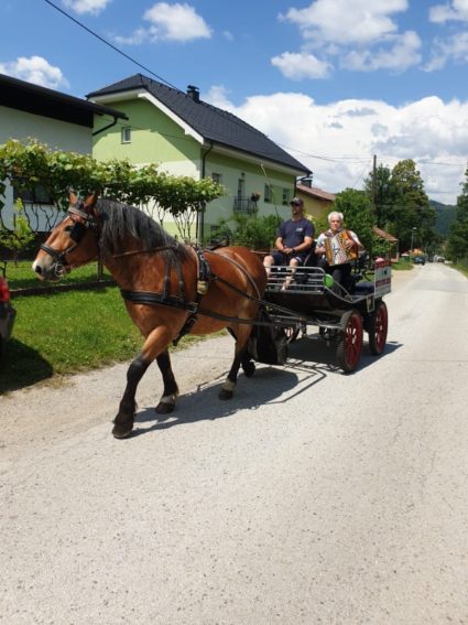 prevoz s kočijo na poroko