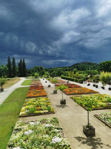 arboretum volčji potok poroka