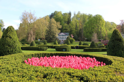 arboretum volčji potok poroka