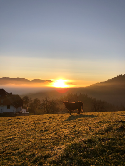 turistična kmetija oblak
