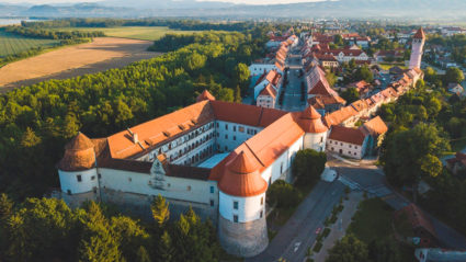 grad Brežice poroka