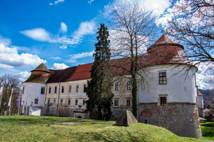 grad Brežice poroka