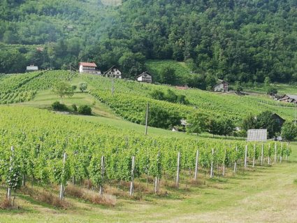 turistična kmetija Grobelnik