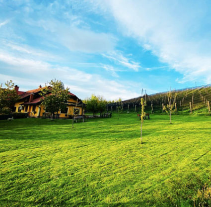 poroka na turistični kmetiji