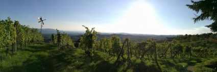 vinska klet Cizerle