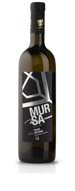 Vina Mursa