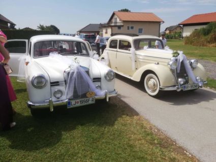 Doživite vožnjo z letnikom 1952 ali 1955 bela limuzina-popolno razmerjo med zunanjosto in razkošjem v notranjosti. Avto,ki bo pritegnila vse poglede ter vaju varno in udobno popelje na vajin najlepši dan.  Izbere lahko med: -Mercedes 170DS Leto 1952 (panoramska streha), -Mercedes ponton 180 Leto 1955.