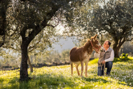 Turistična kmetija Tonin