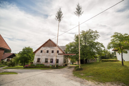 Ekološka kmetija Kogovšek