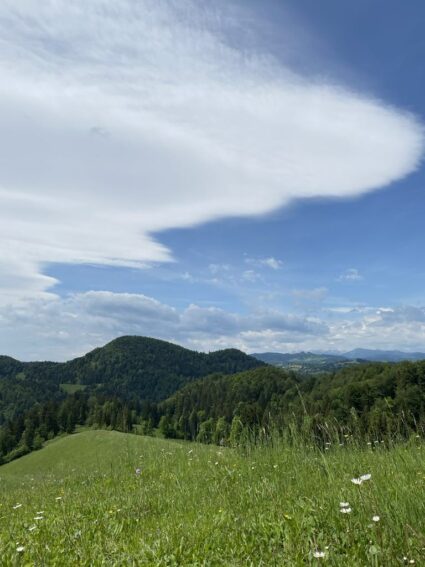 Ekološka kmetija Kogovšek