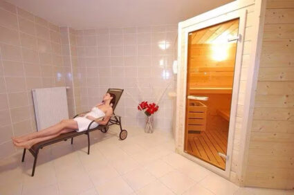 prenočišča v hotelu Korošica
