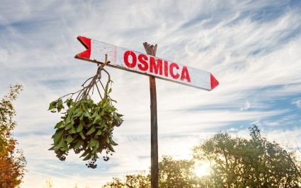 Domačija pri Krčarju
