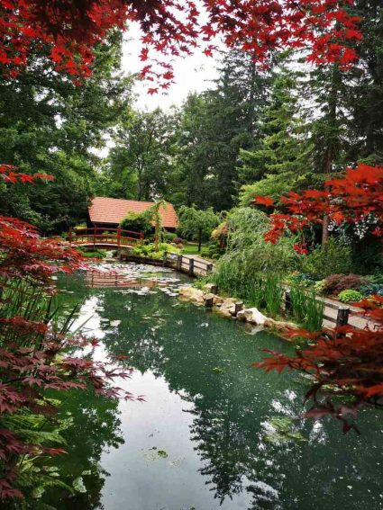 Mozirski gaj - Park cvetja