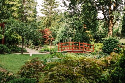 Mozirski gaj - Park cvetja