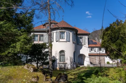 Vila Bistrica