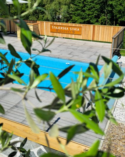 poroka v Štajerski Sivki