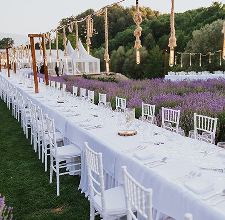 STYRIAN LAVENDER RESORT