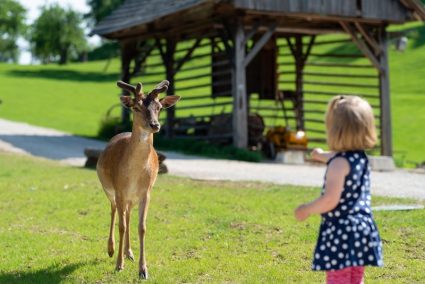 Domačija Lamperček
