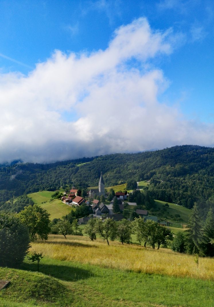 poroka na savinjskem
