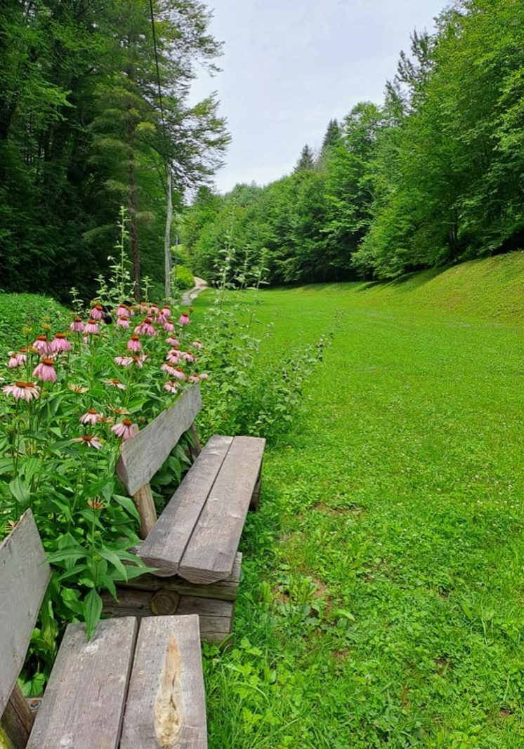 Domačija Peku