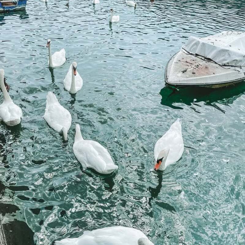 gostišče jezero Zbilje