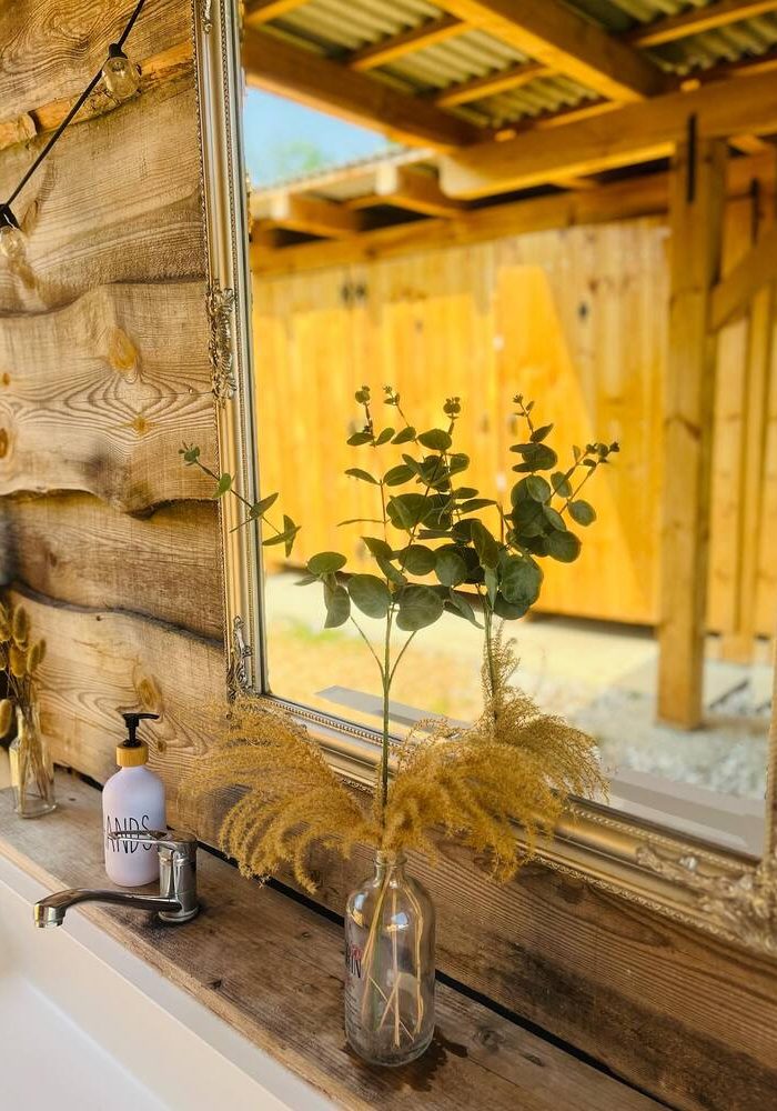 poroka v savinjski dolini