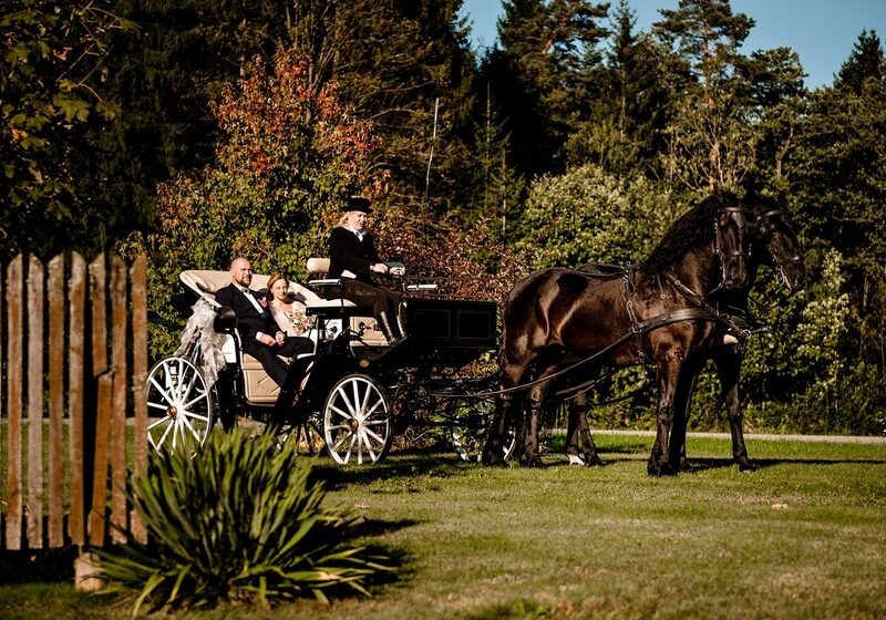 poročni prevoz s kočijo