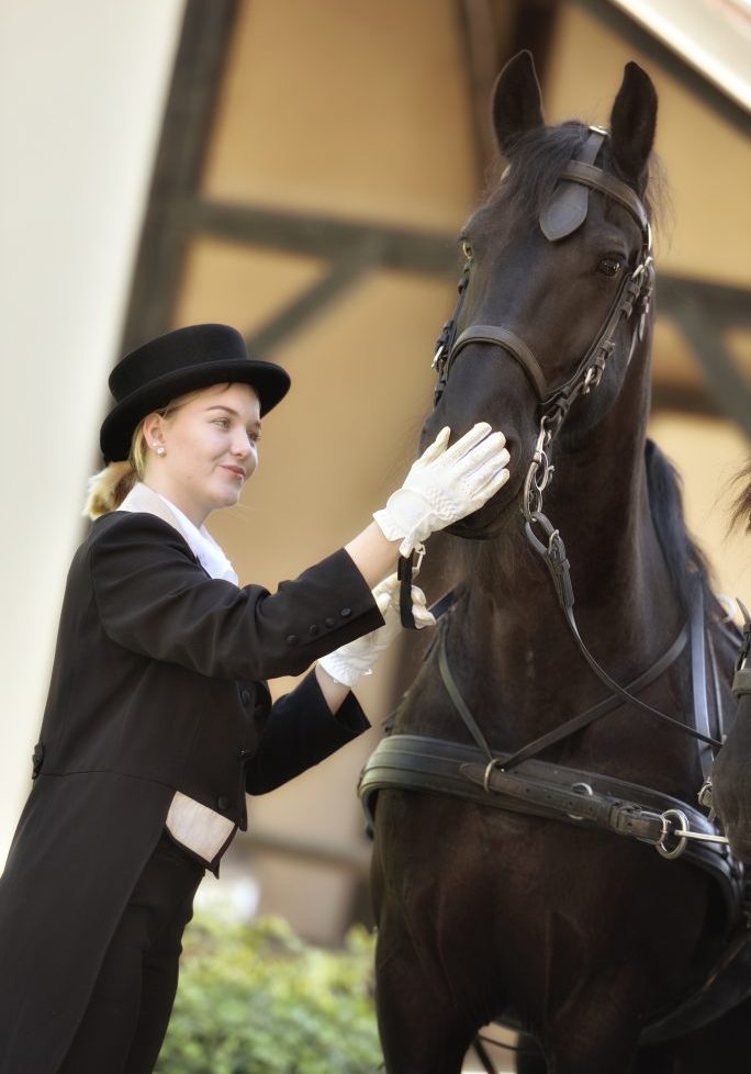 poročni prevoz s kočijo