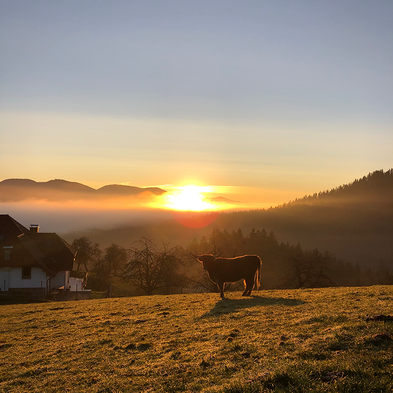 turistična kmetija oblak