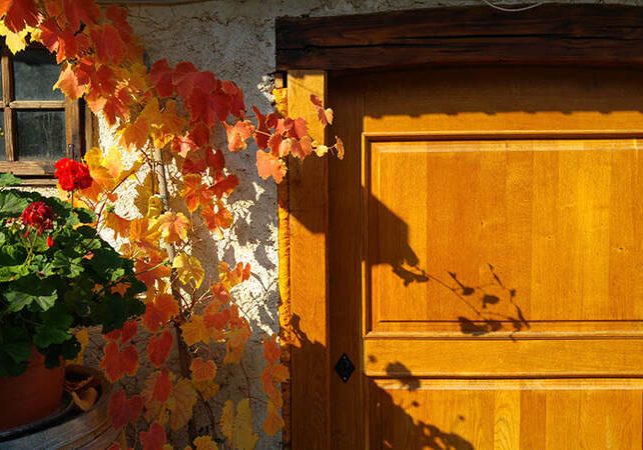 Vina Huba Martinčič