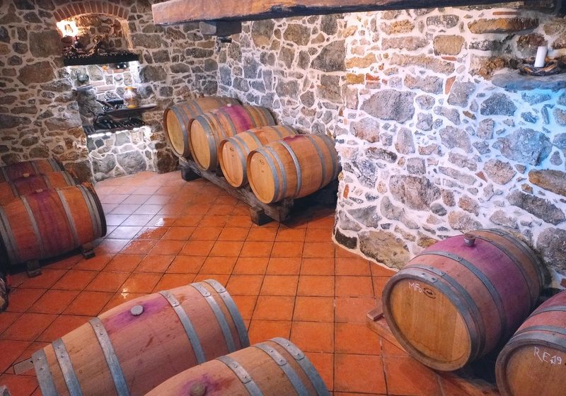 Vina Huba Martinčič